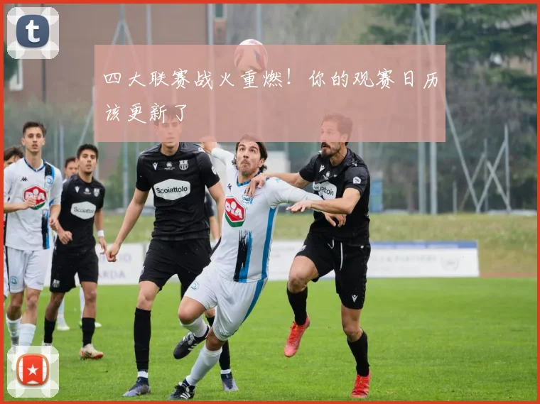 四大联赛战火重燃!你的观赛日历该更新了
